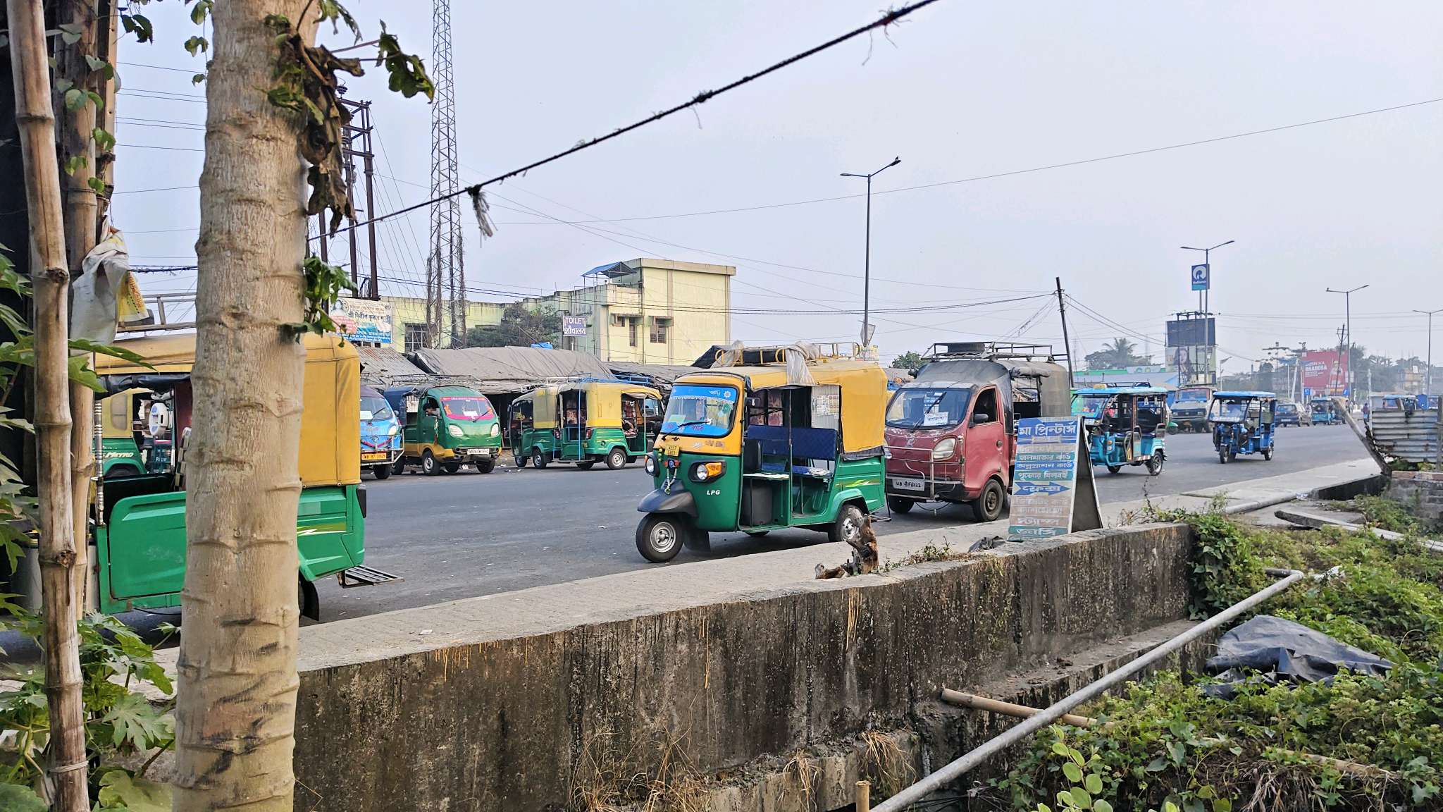 Arindam Medical Hall