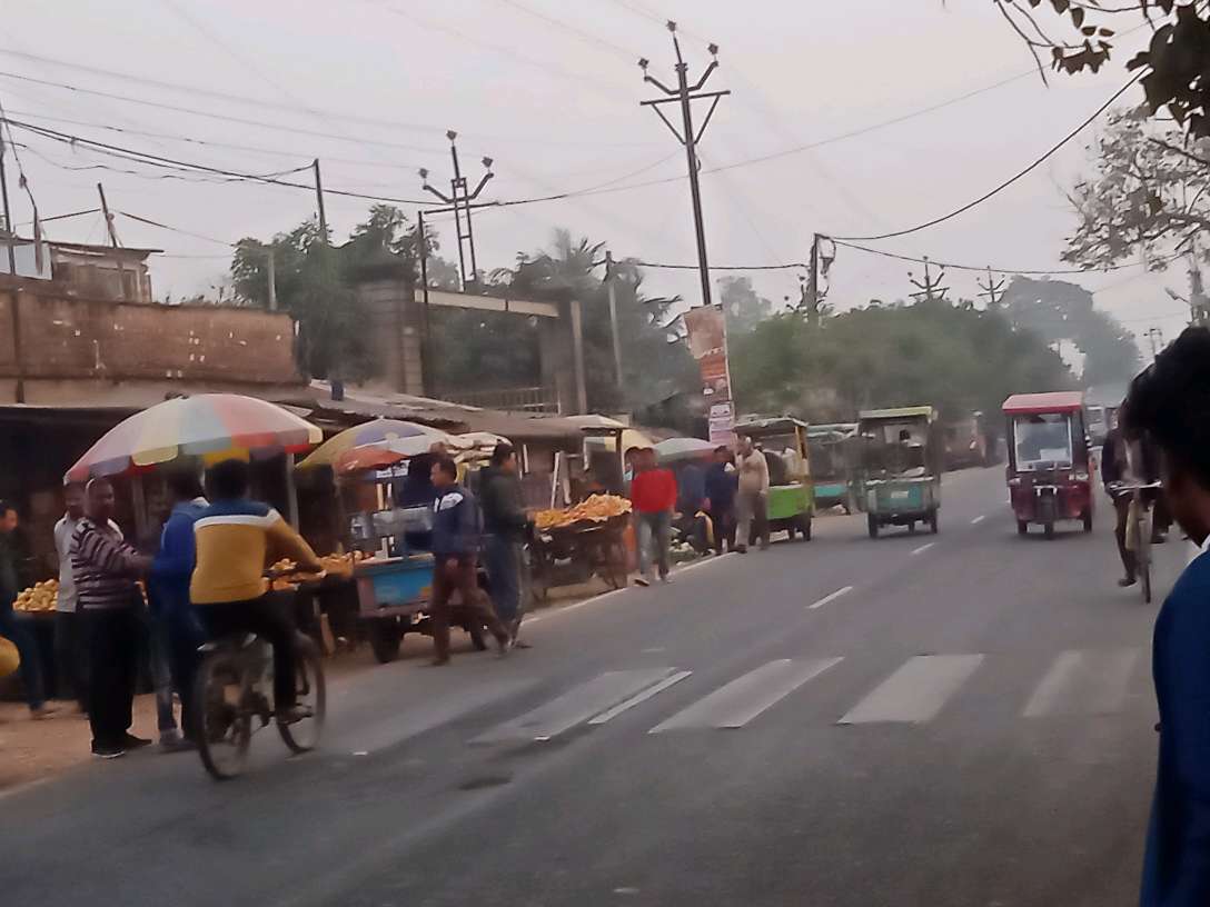 Maa Subhadra Hindu Hotel