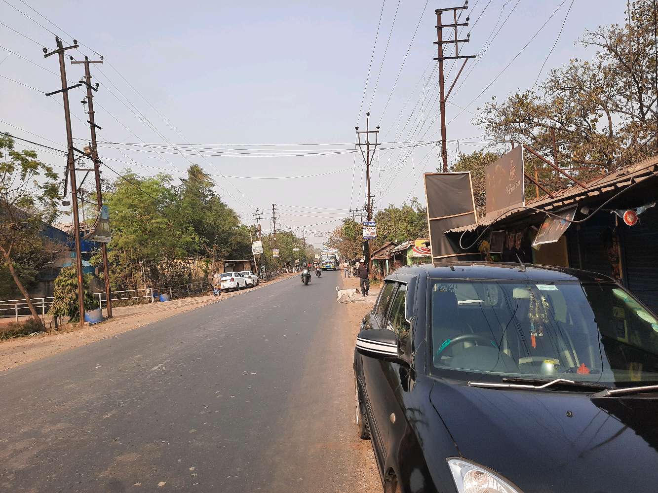 Bhagwati Hindu Hotel