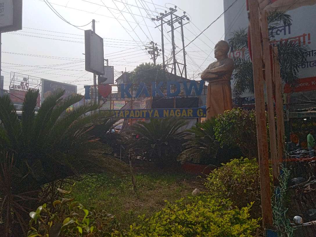 Bharati Medical Hall