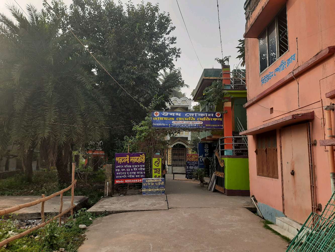 Diamond remedy Medical Chemist and Druggist