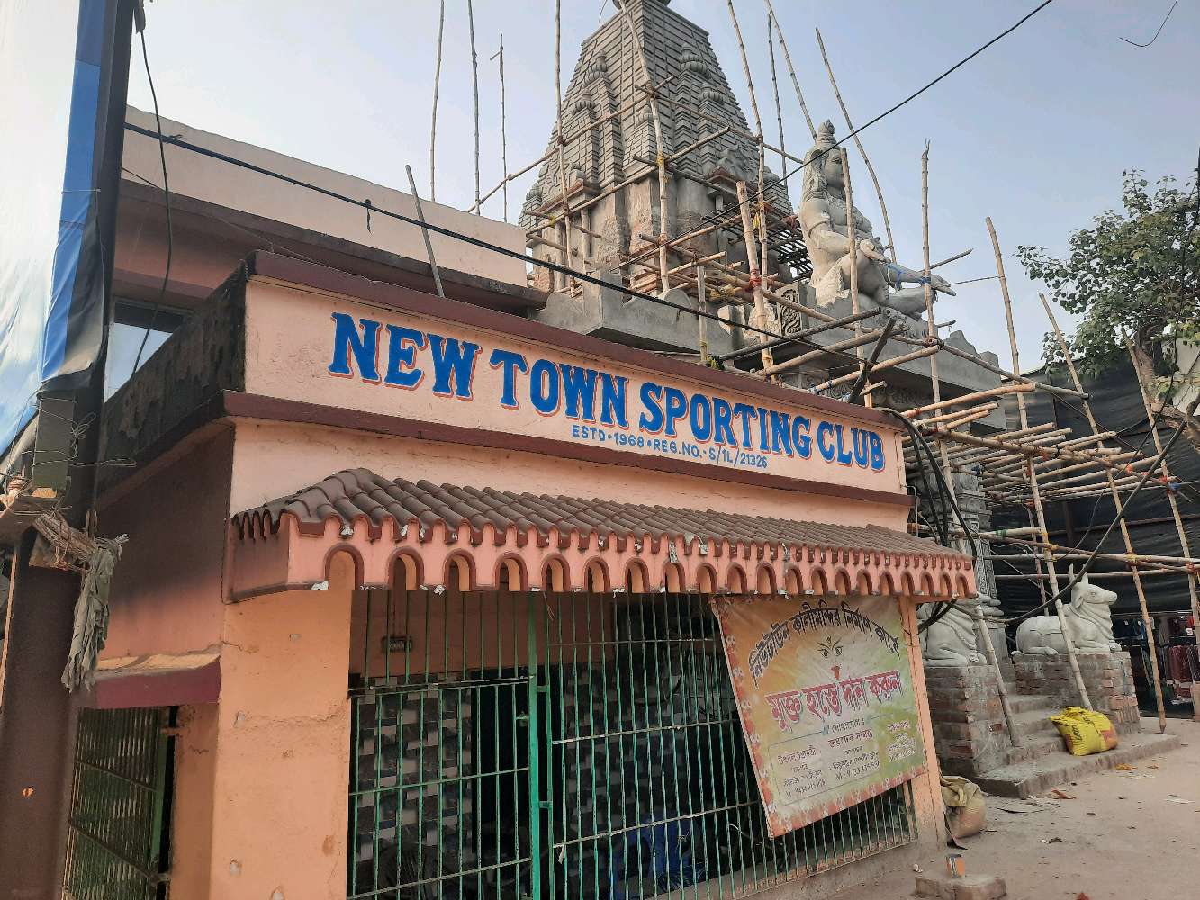 Diamond remedy Medical Chemist and Druggist