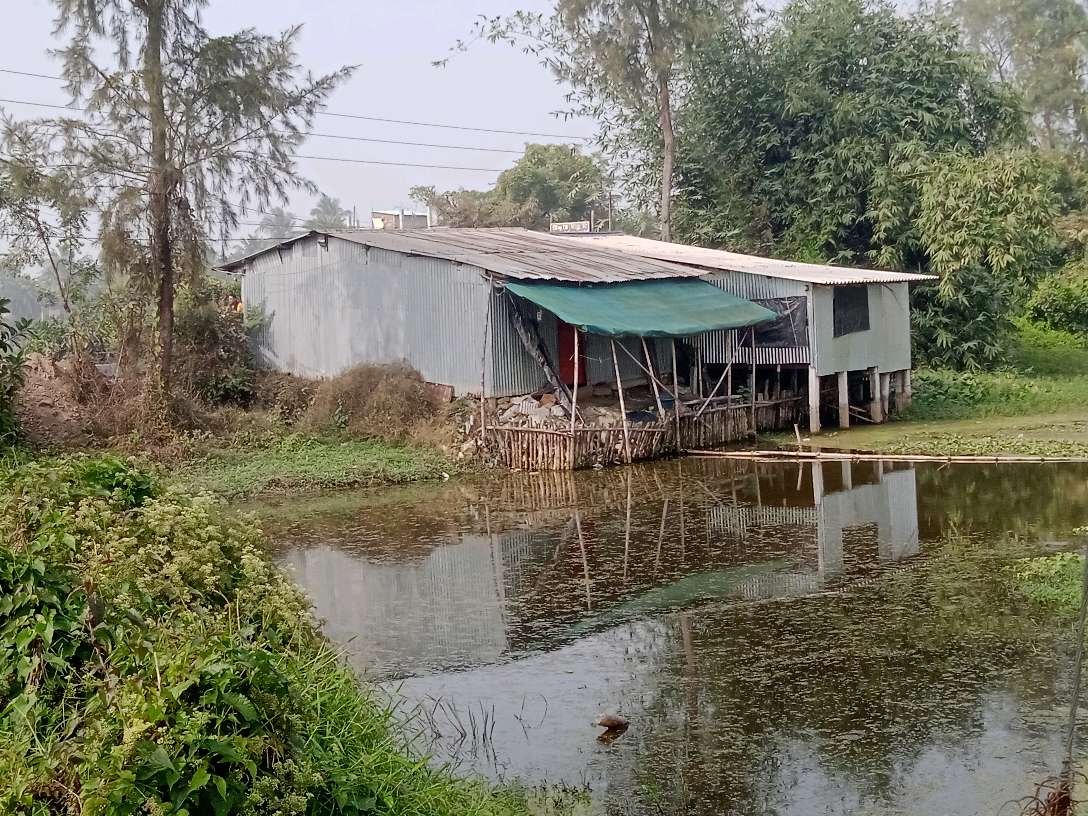 Drinking Water (Tube Well)