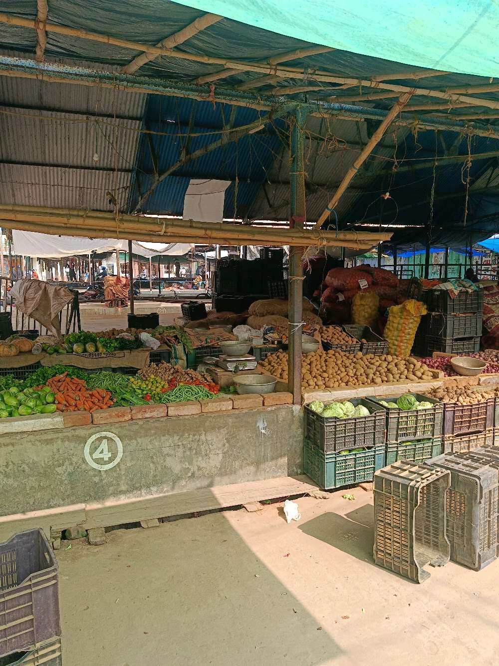 Sandhya Medical Hall