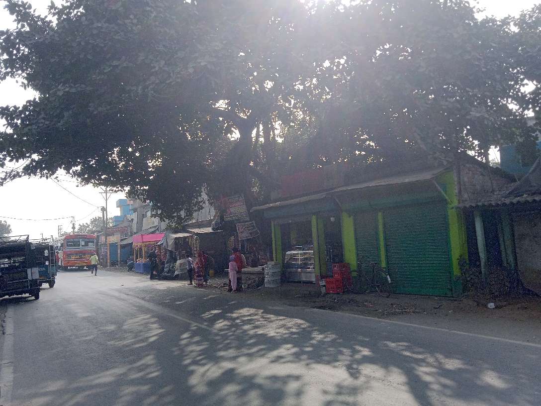 Bus Stand