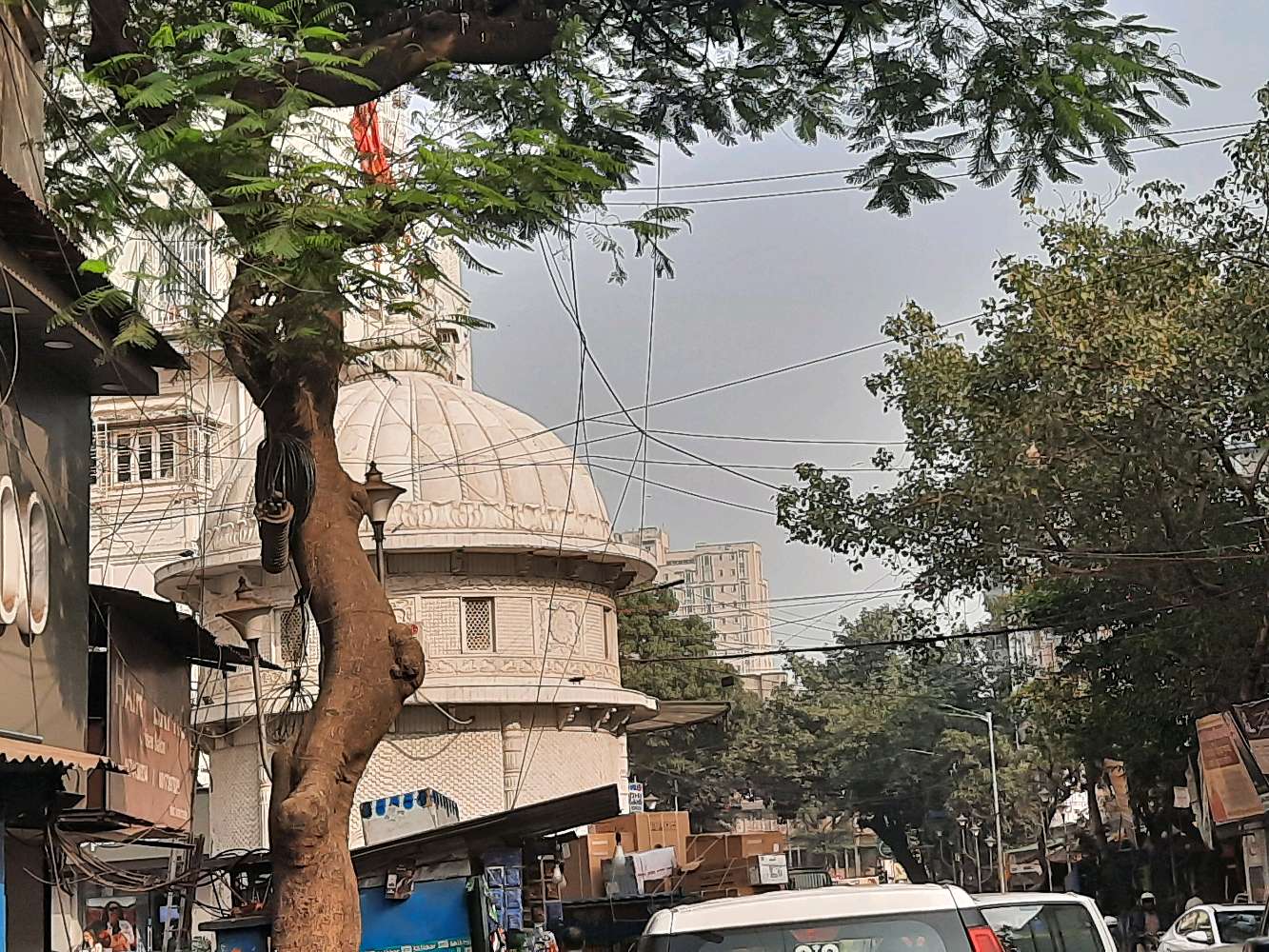 Shree Krishna Hot Chips