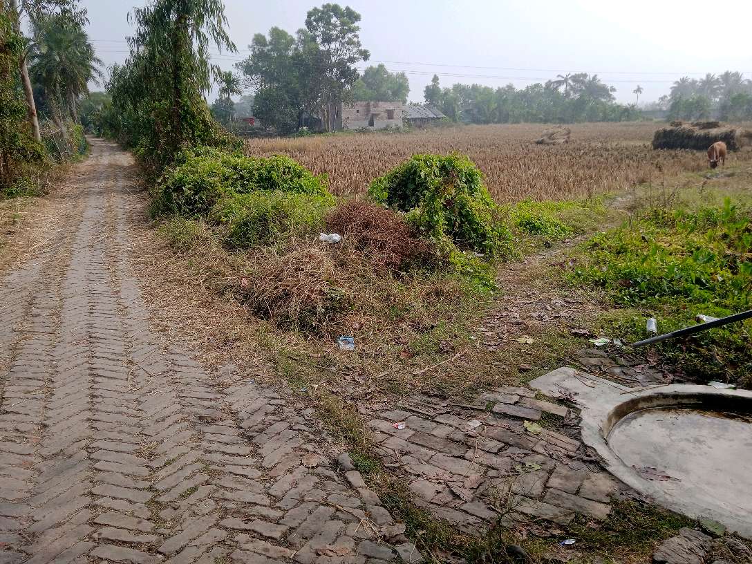 Drinking Water (Tube Well)