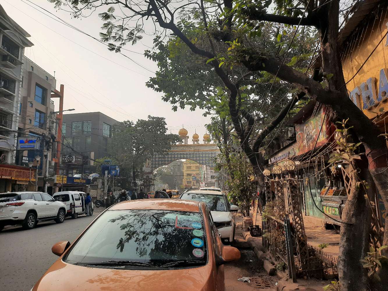 Shree Krishna Hot Chips