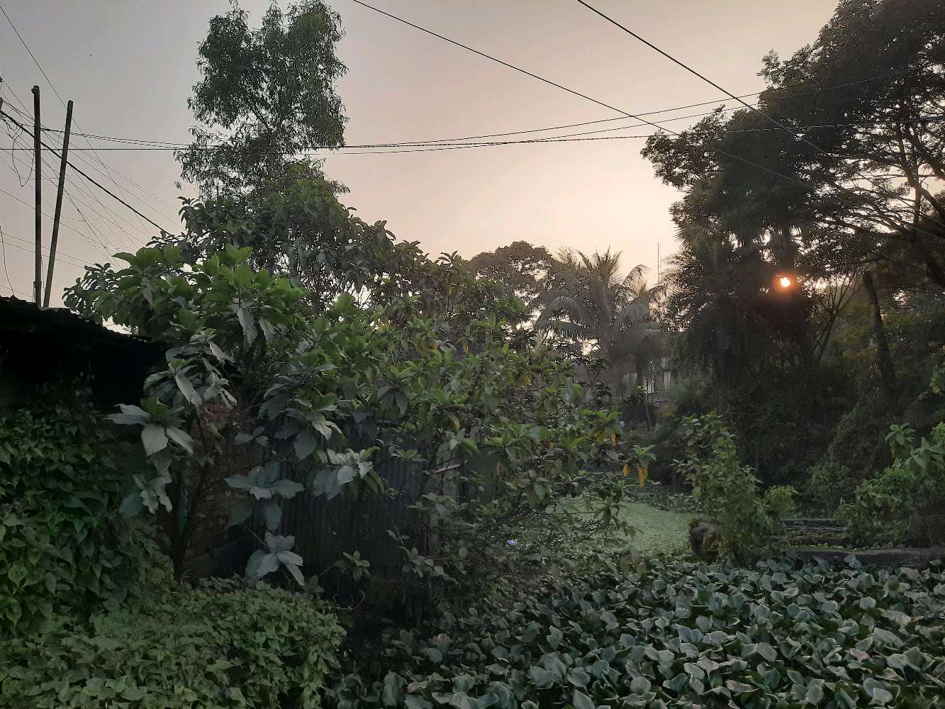 San Pharmacy Chemist & Druggist