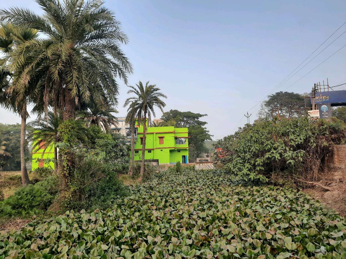 San Pharmacy Chemist & Druggist