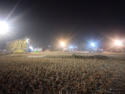 Belpukur Buffer Zone Toilet