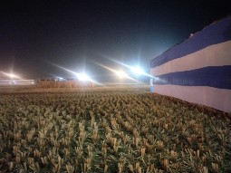 Damodarpur temporary pilgrim accommodation